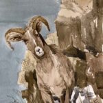 Musebox Arts & Jan Edwards Art - Making Art & Music Happen - Naples FL - CURLY HORN SHEEP